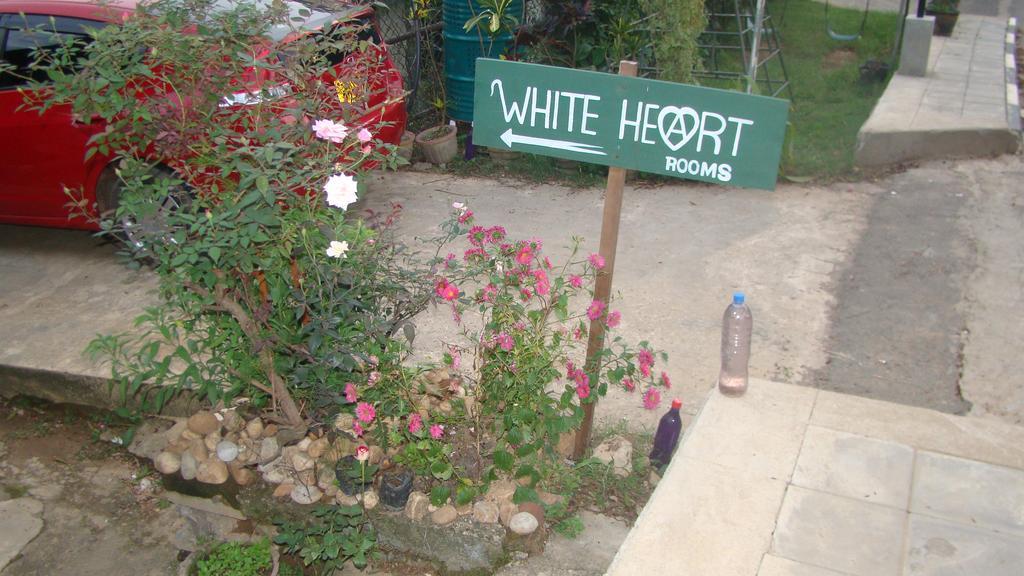 Hotel White Heart à Ella Extérieur photo